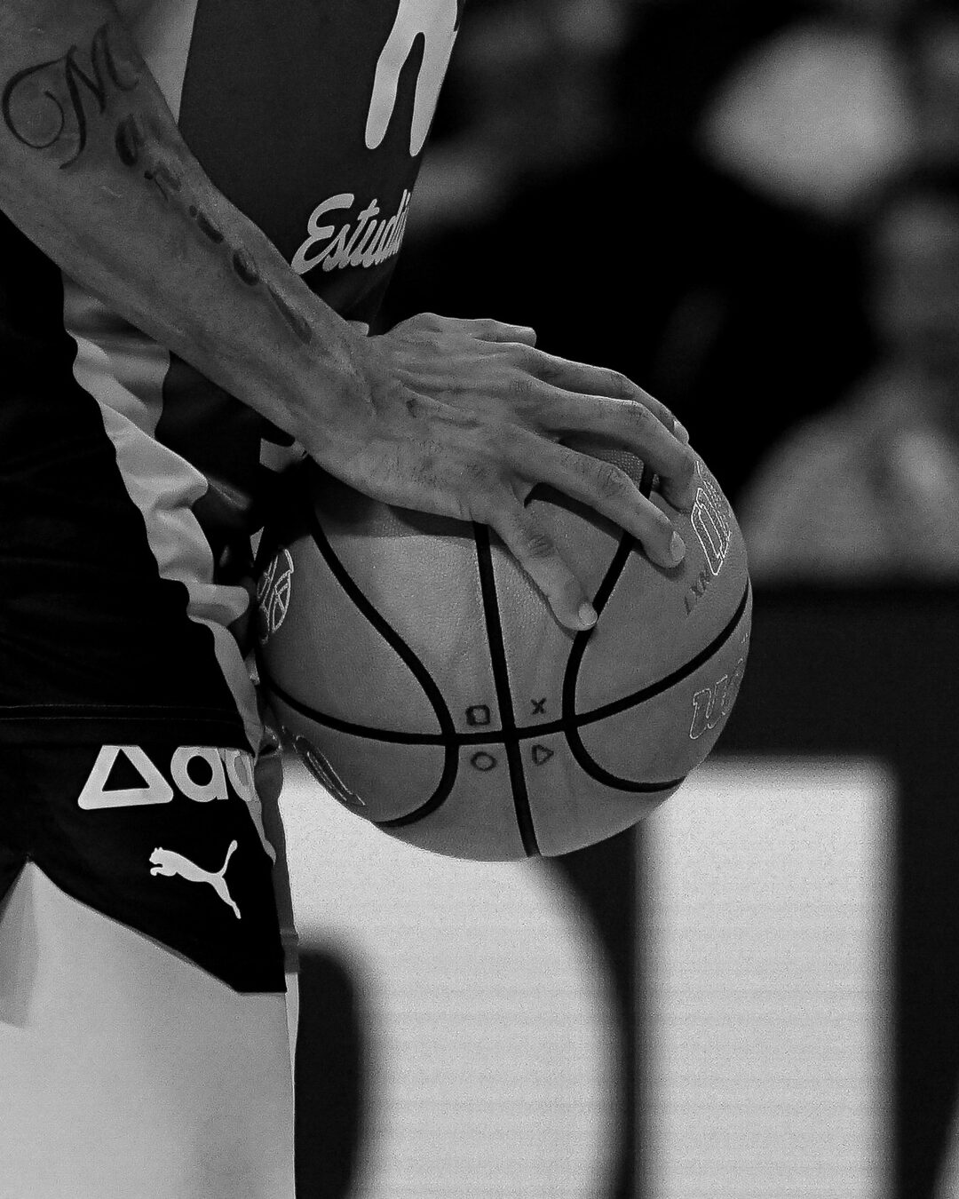 Movistar Estudiantes — Iberolea Palencia, fotografía 4 de 15