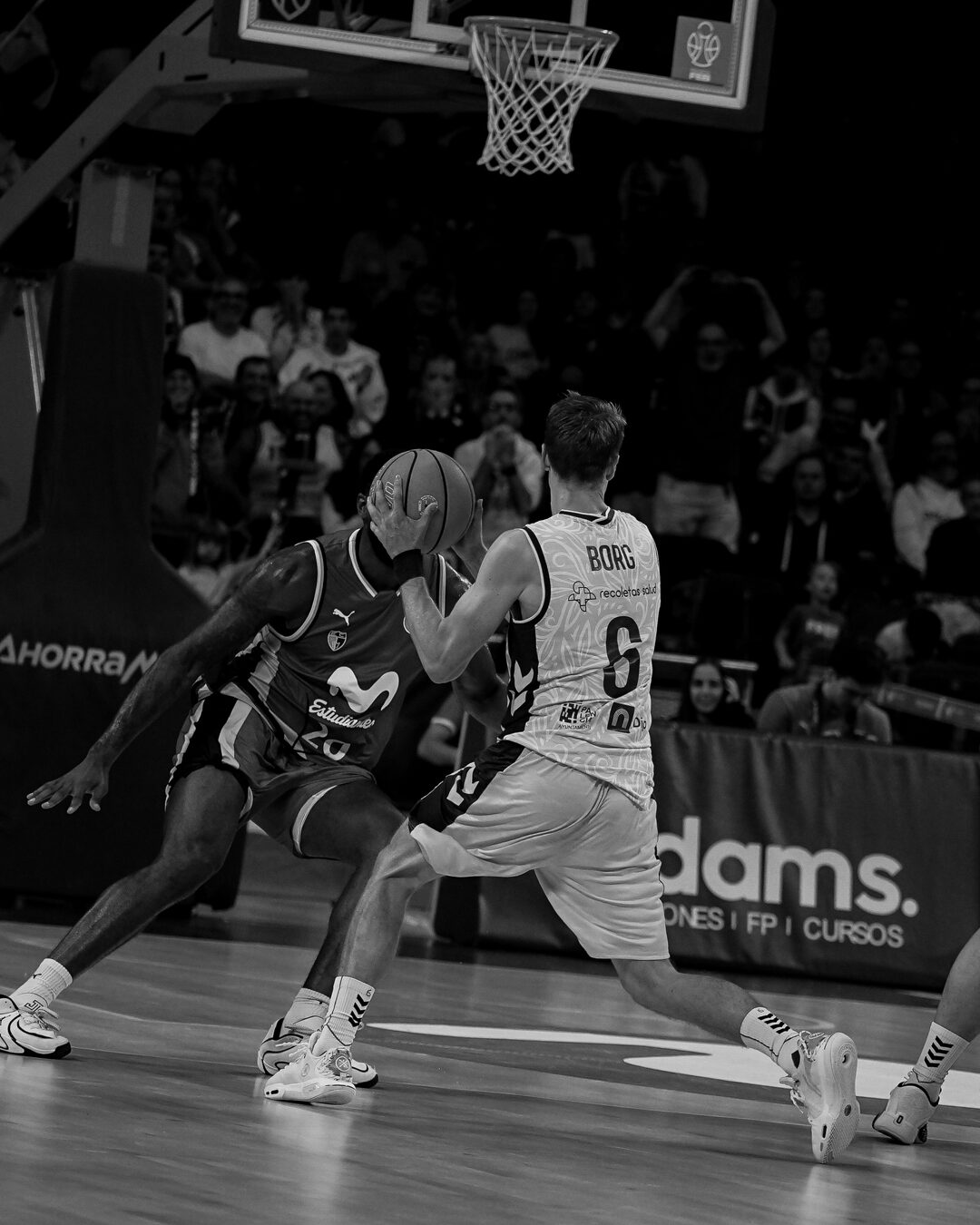 Movistar Estudiantes — Iberolea Palencia, fotografía 7 de 15